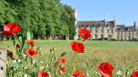 Проектът "Wild Campus Cirencester"